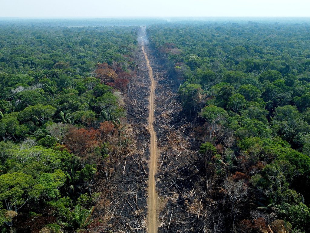 220919174024 02 brazil amazon deforestation