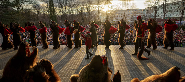 Bear Dancing Festival