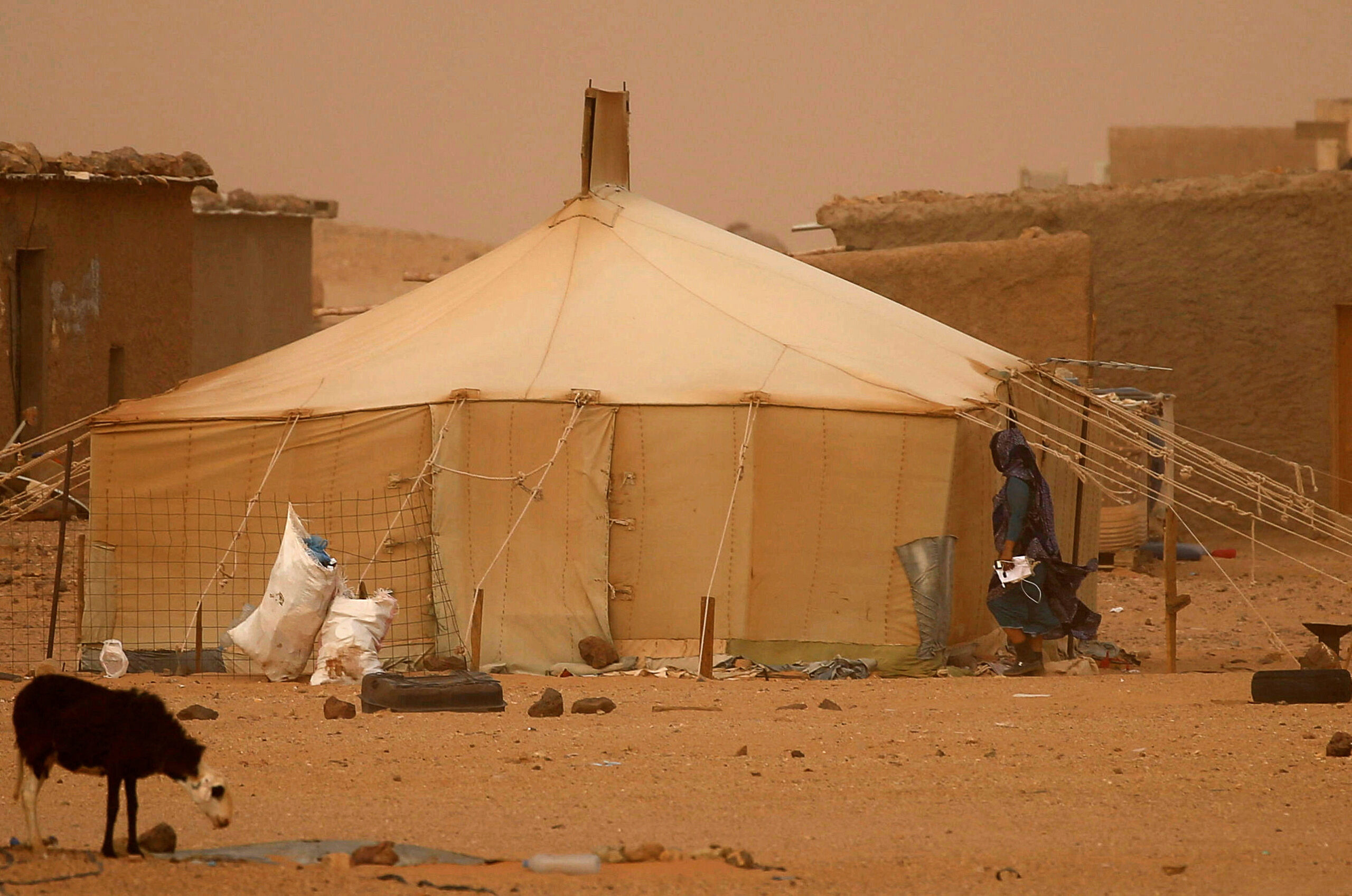 2024 07 30T162002Z 739720380 RC2R59AEP0WV RTRMADP 3 MOROCCO WESTERNSAHARA FRANCE scaled