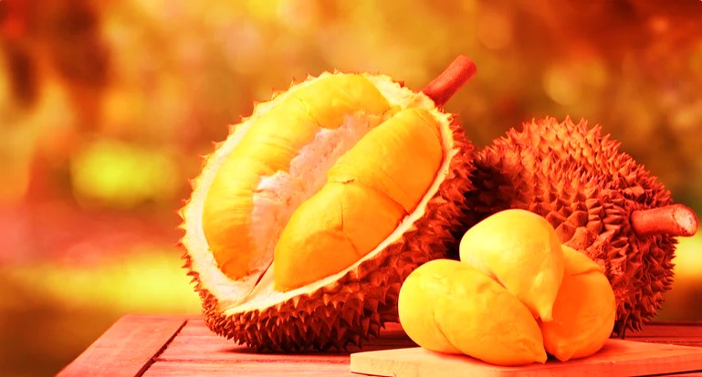 Durian fruit Vietnam