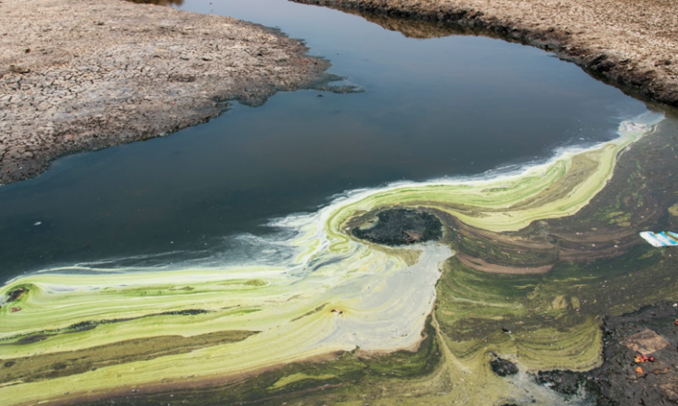 pharmaceutical waste in river photo shailendra yashwant 2