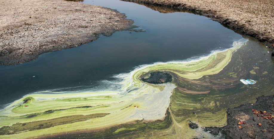 pharmaceutical waste in river photo shailendra yashwant 2