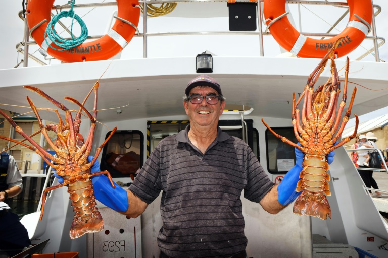 China Australia lobsters